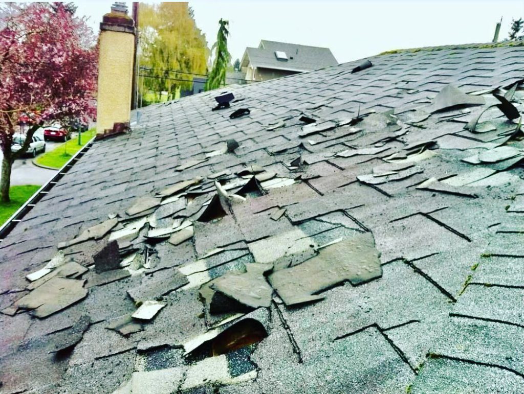 roof repair kyle